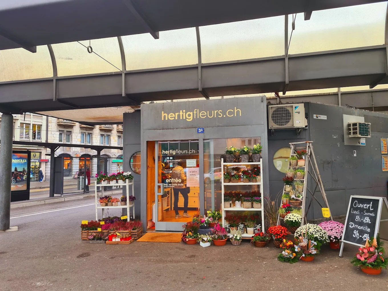 Hertig Fleurs Sàrl – fleuriste à Fribourg, partenaire FribourgFleurs.ch