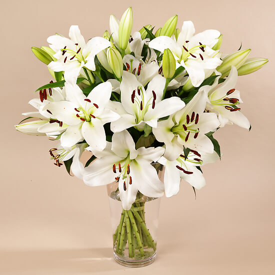 Grands Lys Blancs – composition avec vase, livraison fleurs Fribourg