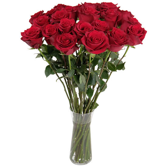 Roses Rouges du Fleuriste – longues tiges, livraison fleurs Fribourg